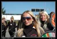 Pit_Babes_A1GP_07_019.jpg