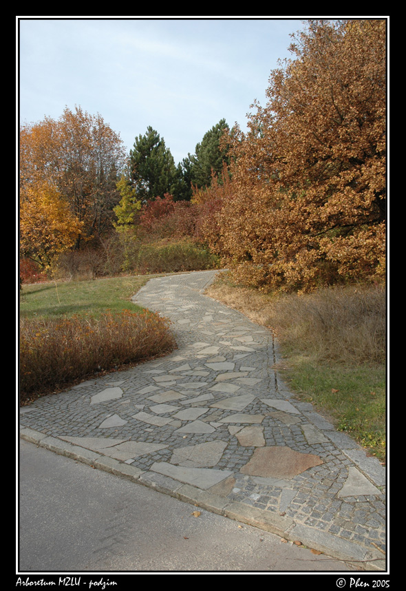 Arboretum_podzim_002.jpg