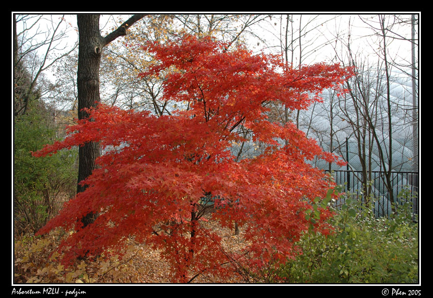 Arboretum_podzim_006.jpg