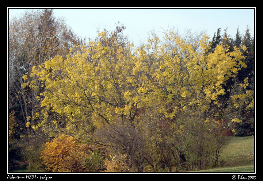 Arboretum_podzim_015.jpg