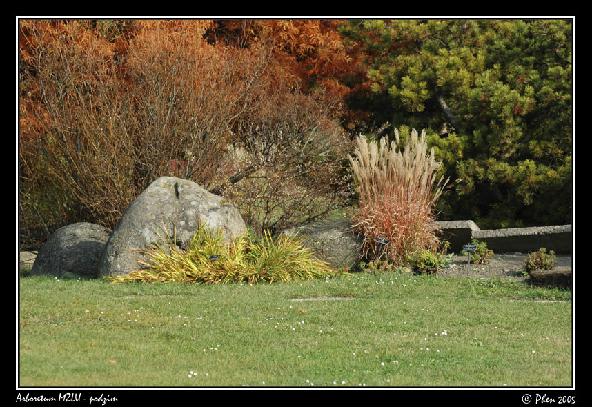 Arboretum_podzim_019.jpg