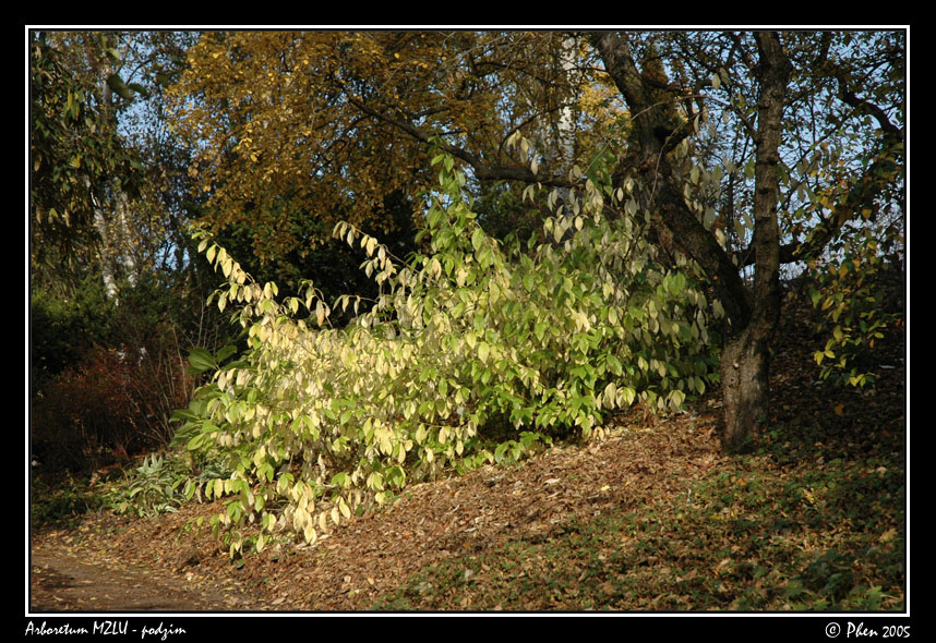 Arboretum_podzim_034.jpg