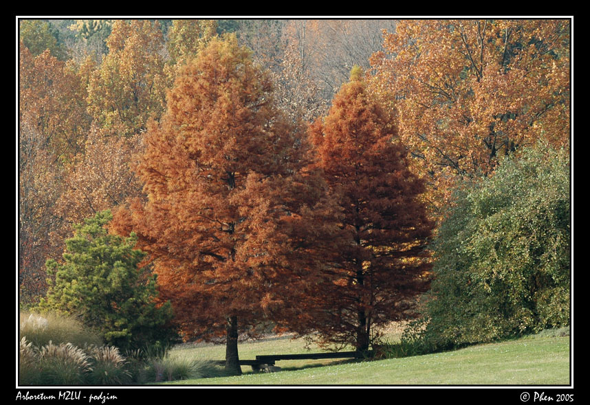 Arboretum_podzim_042.jpg