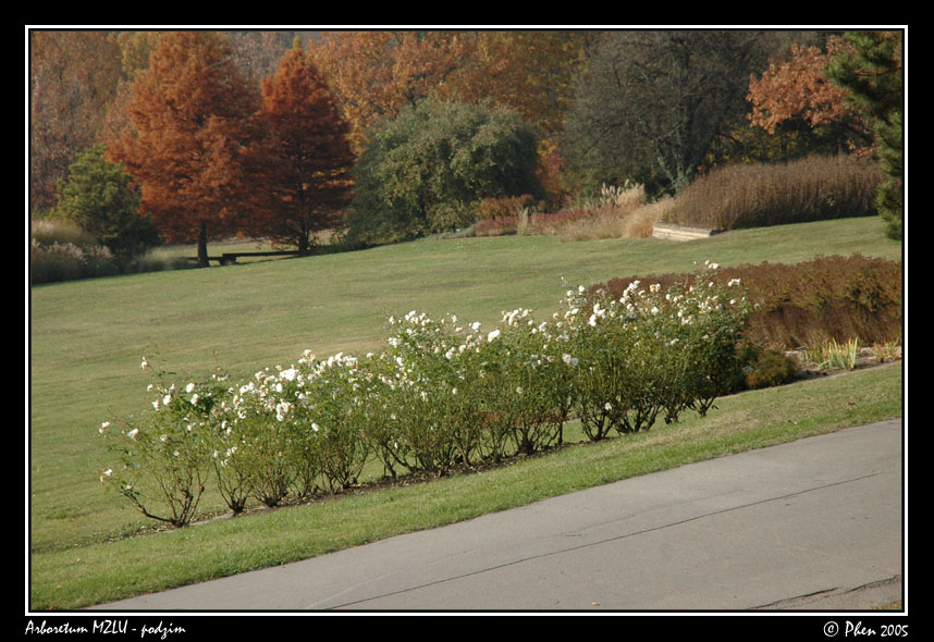 Arboretum_podzim_043.jpg