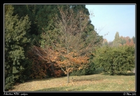 Arboretum_podzim_032.jpg