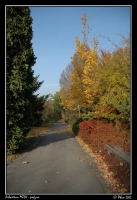 Arboretum_podzim_036.jpg