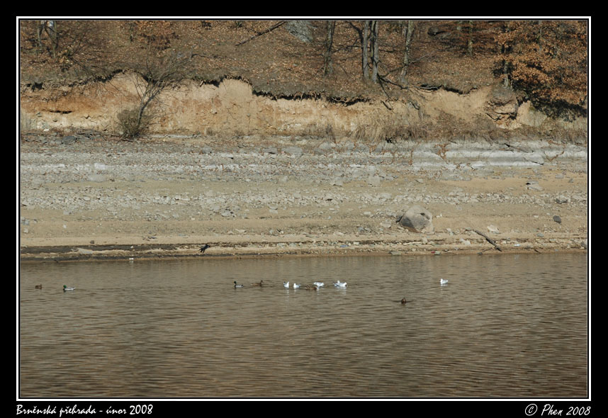 Brnenska_prehrada_unor_2008_024.jpg