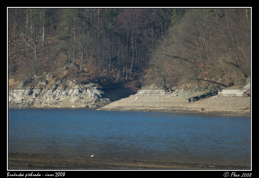 Brnenska_prehrada_unor_2008_057.jpg