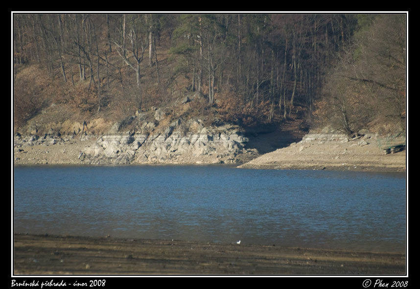 Brnenska_prehrada_unor_2008_058.jpg