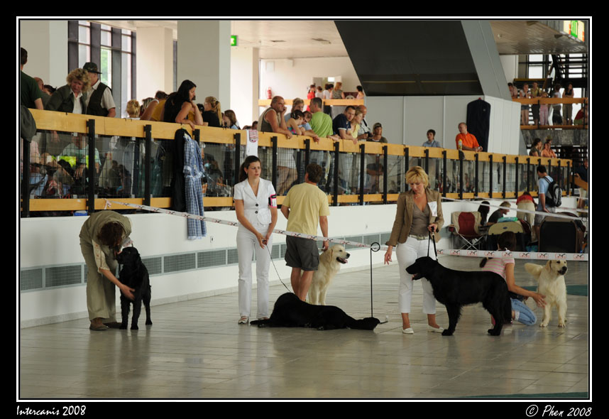 Intercanis_08_011.jpg