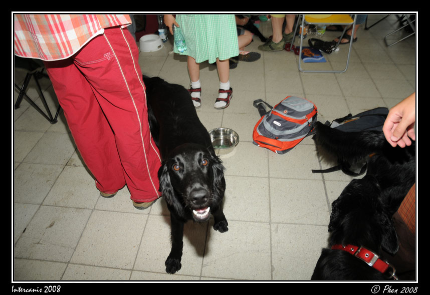 Intercanis_08_012.jpg