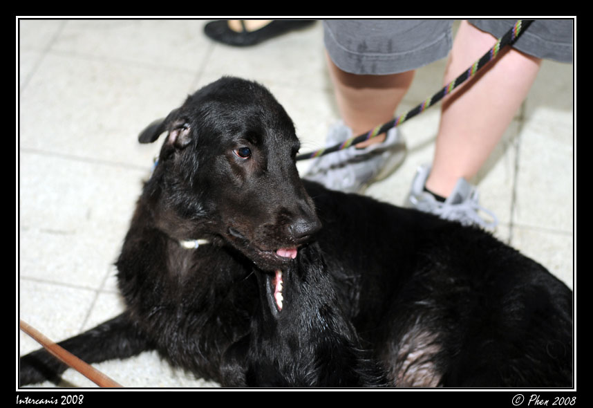 Intercanis_08_018.jpg