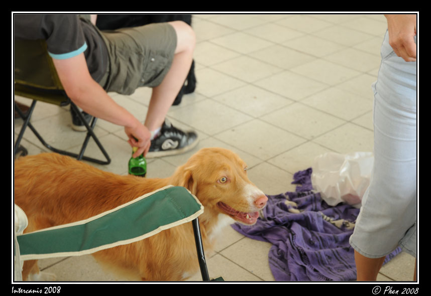 Intercanis_08_031.jpg