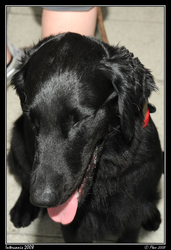 Intercanis_08_044.jpg