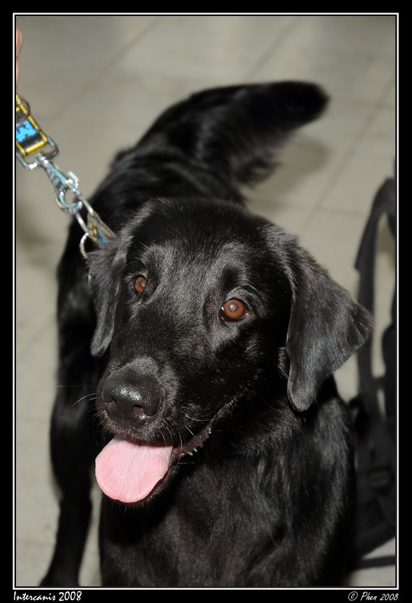 Intercanis_08_045.jpg