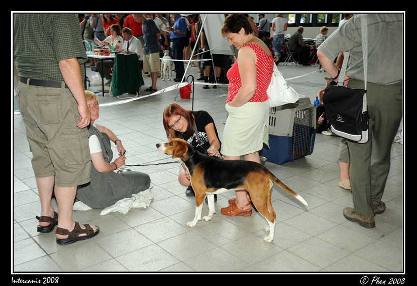 Intercanis_08_052.jpg
