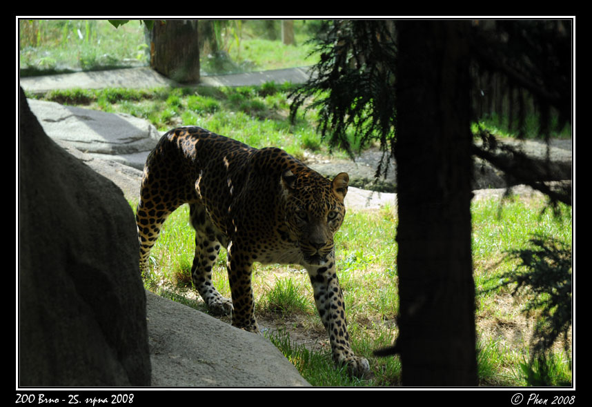 ZOO_250808_001.jpg