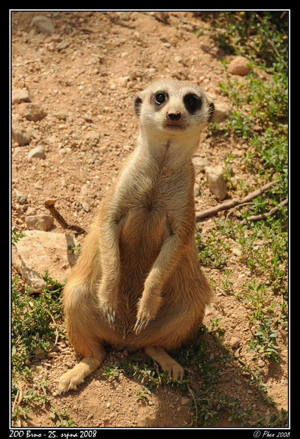ZOO_250808_027.jpg