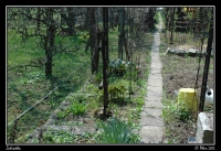 Zahradka_003.jpg
