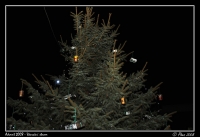 Advent_2008_Strom_018.jpg
