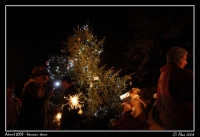 Advent_2008_Strom_037.jpg
