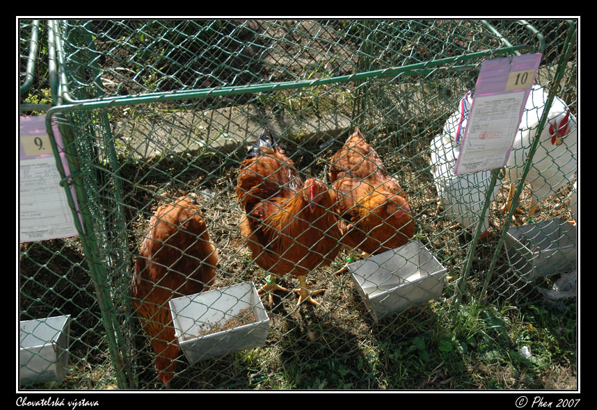 Chovatele_07_010.jpg