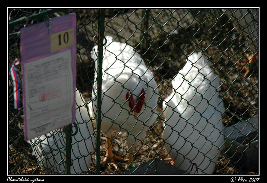 Chovatele_07_011.jpg
