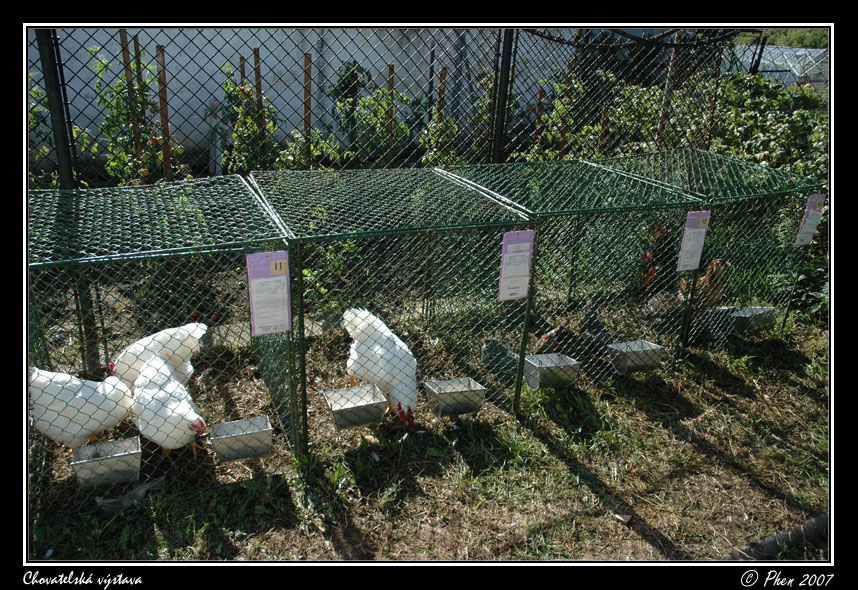 Chovatele_07_012.jpg