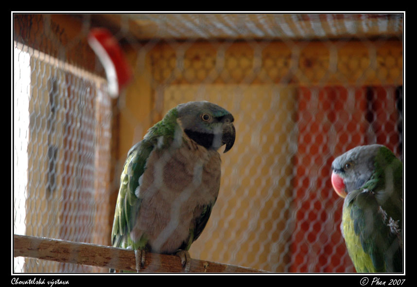 Chovatele_07_038.jpg