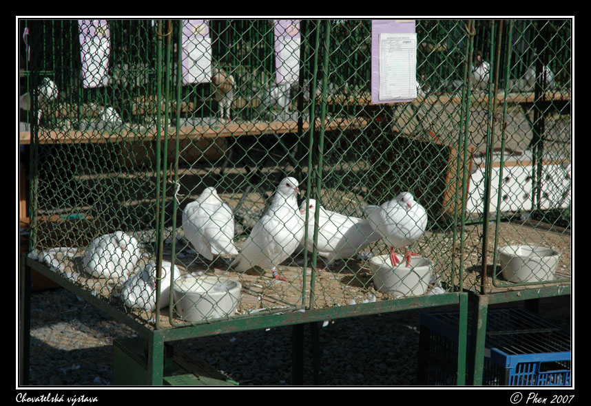 Chovatele_07_046.jpg