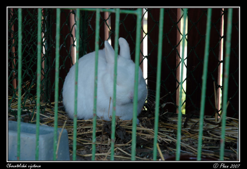 Chovatele_07_054.jpg