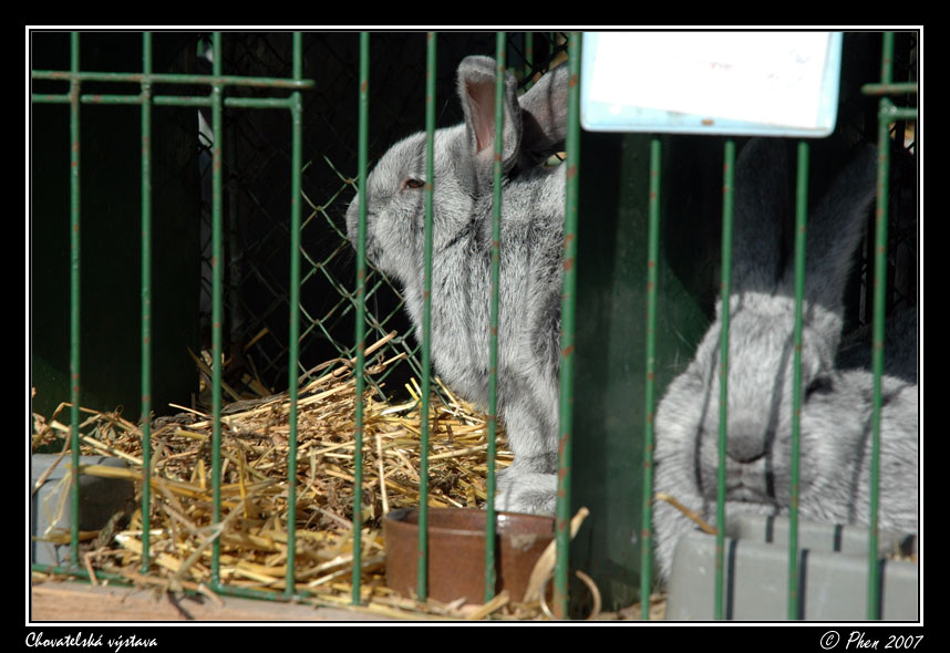 Chovatele_07_060.jpg