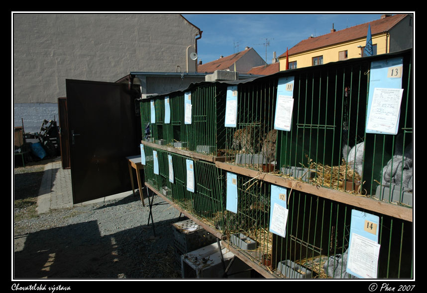 Chovatele_07_062.jpg
