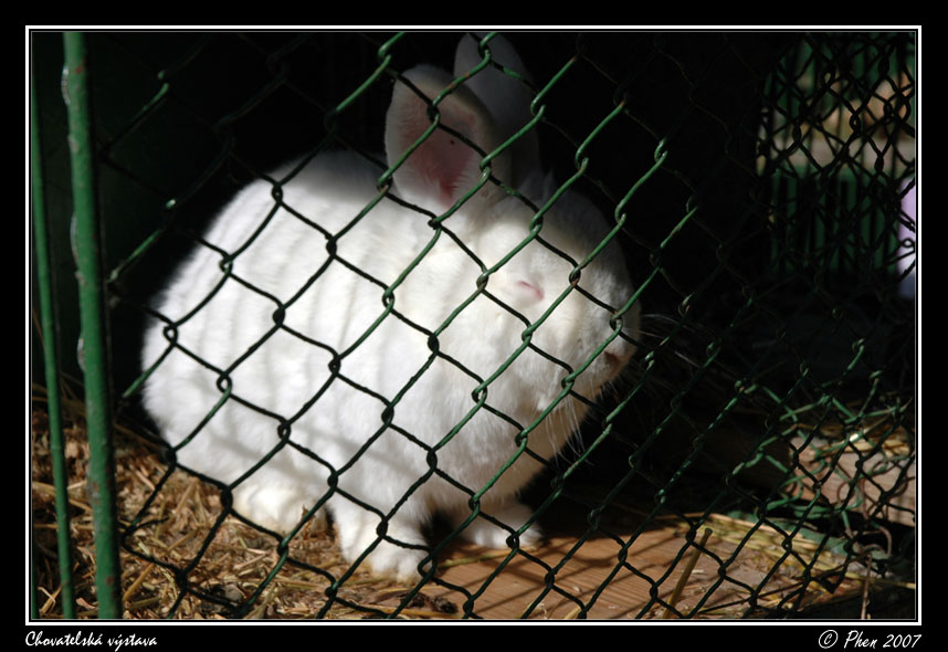 Chovatele_07_063.jpg