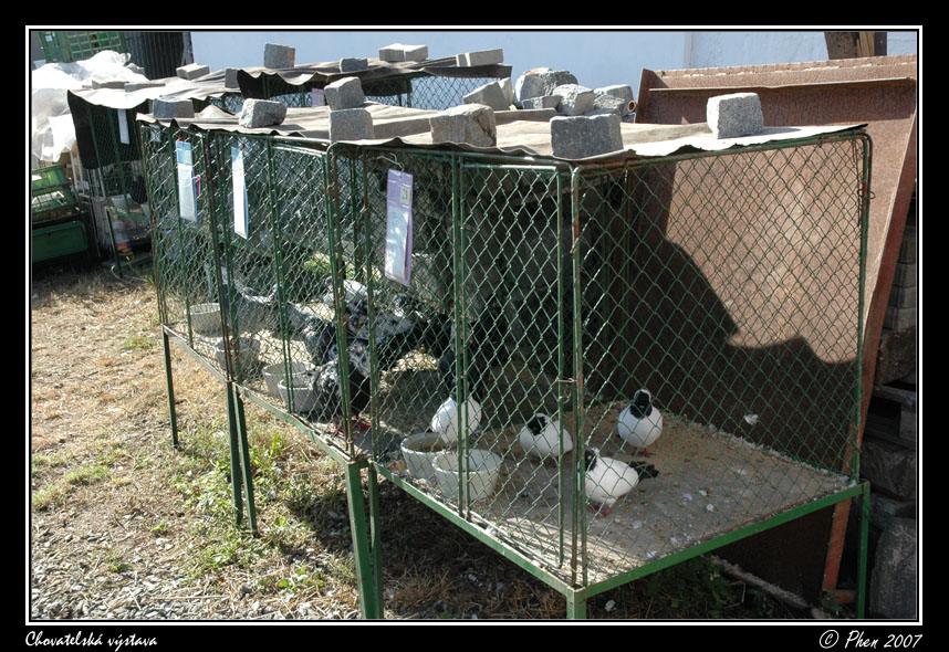 Chovatele_07_076.jpg