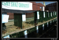 Chovatele_07_069.jpg