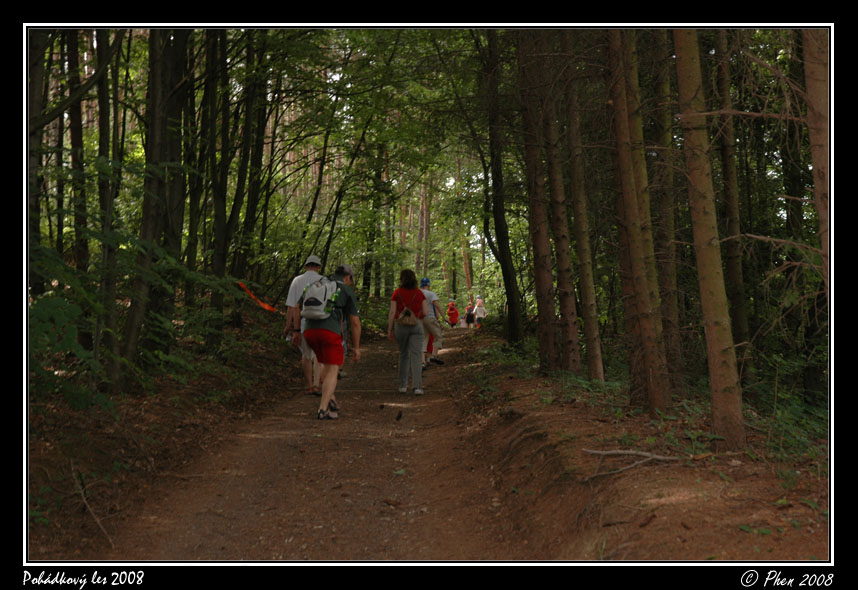 Pohadkovy_les_08_274.jpg